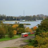 Ikarus 620.54 #118