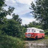 Jelcz 272MEX #341