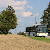 MAN NÜ313 #B477