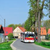 Jelcz M121MB #110