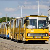 Ikarus 280.02 #335