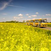 Ikarus 280.26 #4387