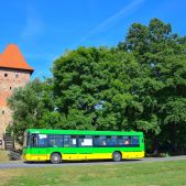 Jelcz M121I/4 #920