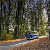 Jelcz 120M #21004