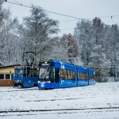 Stadler Tango #HY846