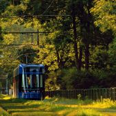 Stadler Tango #HY842