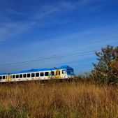 SN83-005