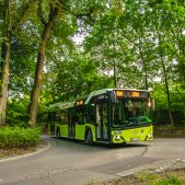 Solaris Urbino 12 #W009