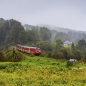 SN84-003