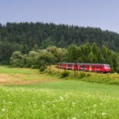 SN84-004