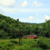 SN84-004