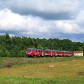 SN84-004
