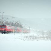 SN84-004