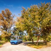 Autosan H6.06 #10108