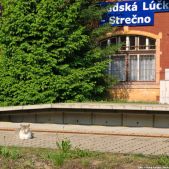 Wygrzewanie się o poranku