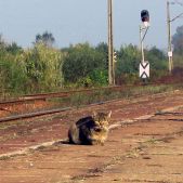Pasażer w Zelczynie