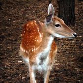 Spotkanie z naturą