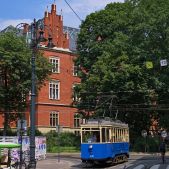 Linke Hofmann #1076