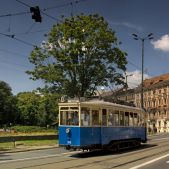 Linke Hofmann #1076