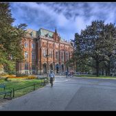 Collegium Novum