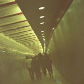 Mäusetunnel