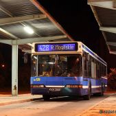 Neoplan N4020 #BN126