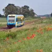 SA103-003