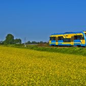 SA103-013