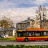 MAN NL 273 Lion's City CNG #316