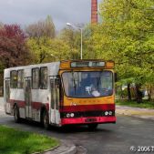 Jelcz M11 #14