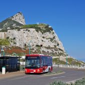MAN Lion's City M #G 9505 D