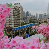 CRRC 6HL #020411