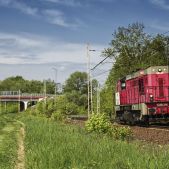 T448p-048