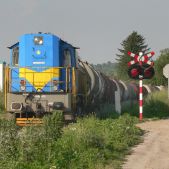 T448p-009
