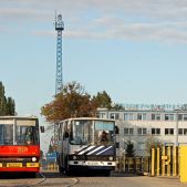 Ikarus 260.04 #GNB 6104
