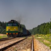 ST44-2039
