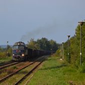M62-1242