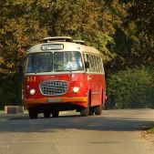 Jelcz 272 MEX #341