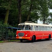 Jelcz 272 MEX #341