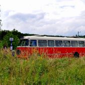 Jelcz 272 MEX #341