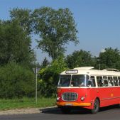 Jelcz 272 MEX #341