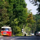 Jelcz 272 MEX #341