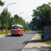 Jelcz 272 MEX #341