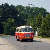 Jelcz 272 MEX #341