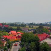 Jelcz 272MEX #341