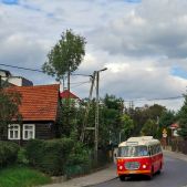 Jelcz 272MEX #341