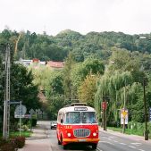 Jelcz 272 MEX #341