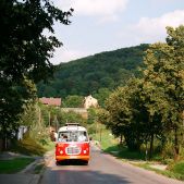 Jelcz 272 MEX #341