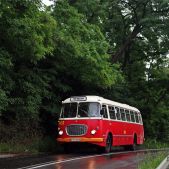 Jelcz 272 MEX #341