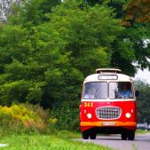 Jelcz 272 MEX #341